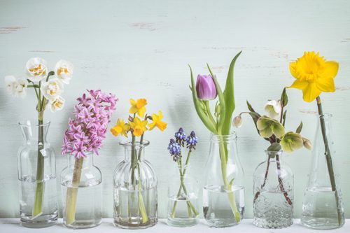 Spring flowers in different glass vases